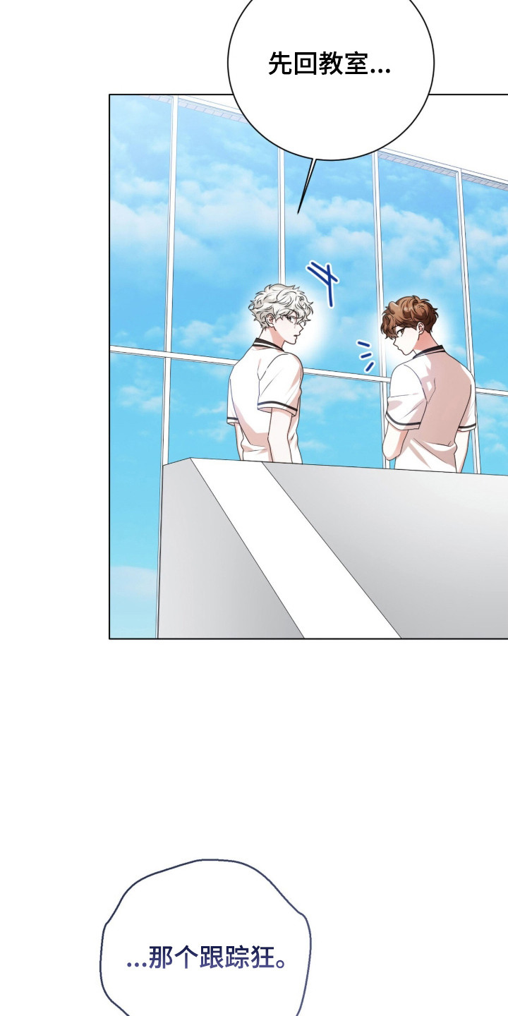 猛兽勿近小说正版漫画,第54章：跟踪狂1图