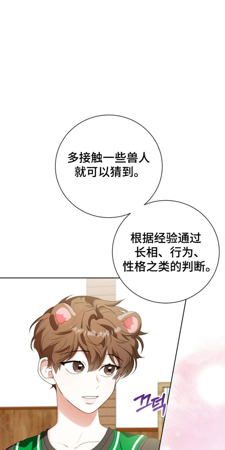 猛兽勿近小说讲的是什么故事漫画,第62章：正面对抗3图