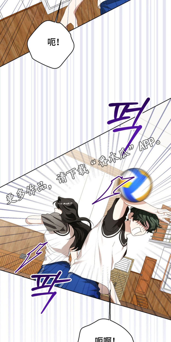 猛兽勿近小说讲的是什么故事漫画,第62章：正面对抗4图