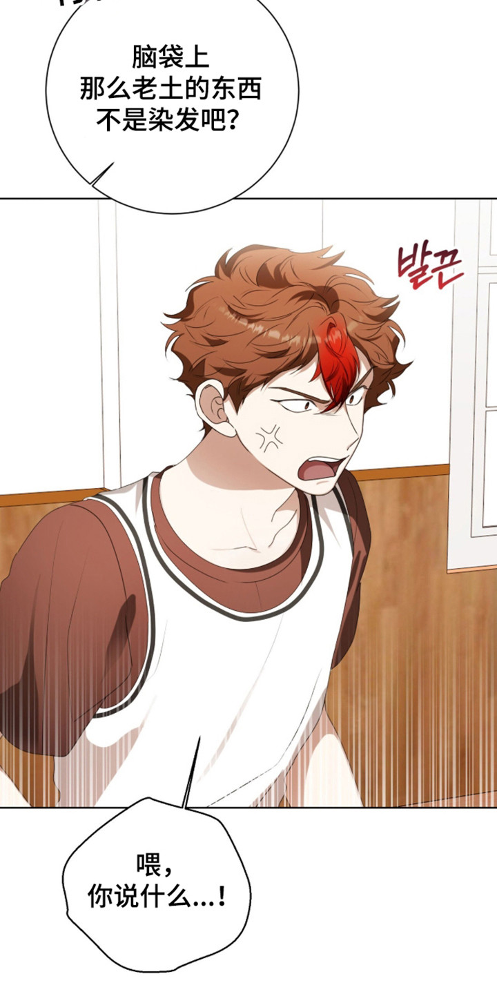 猛兽勿近小说讲的是什么故事漫画,第62章：正面对抗3图