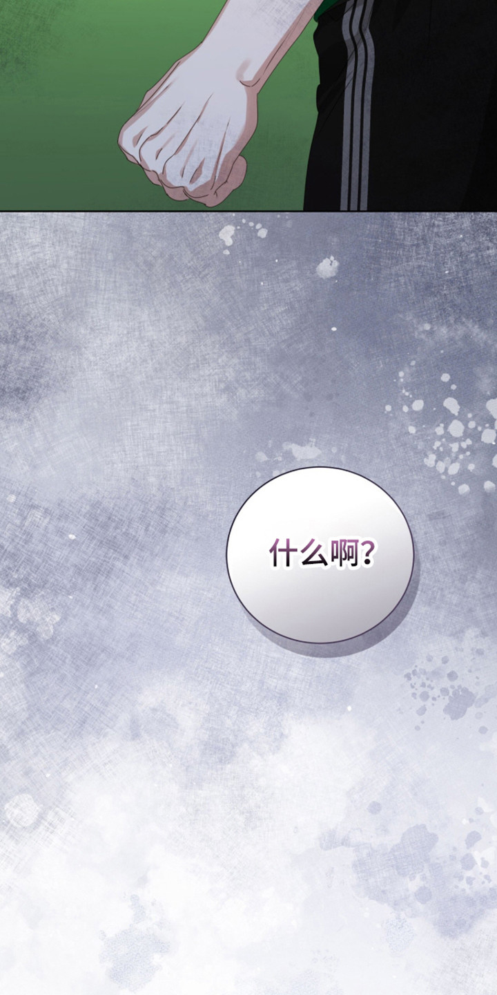 猛兽勿近小说正版漫画,第59章：越发关注5图