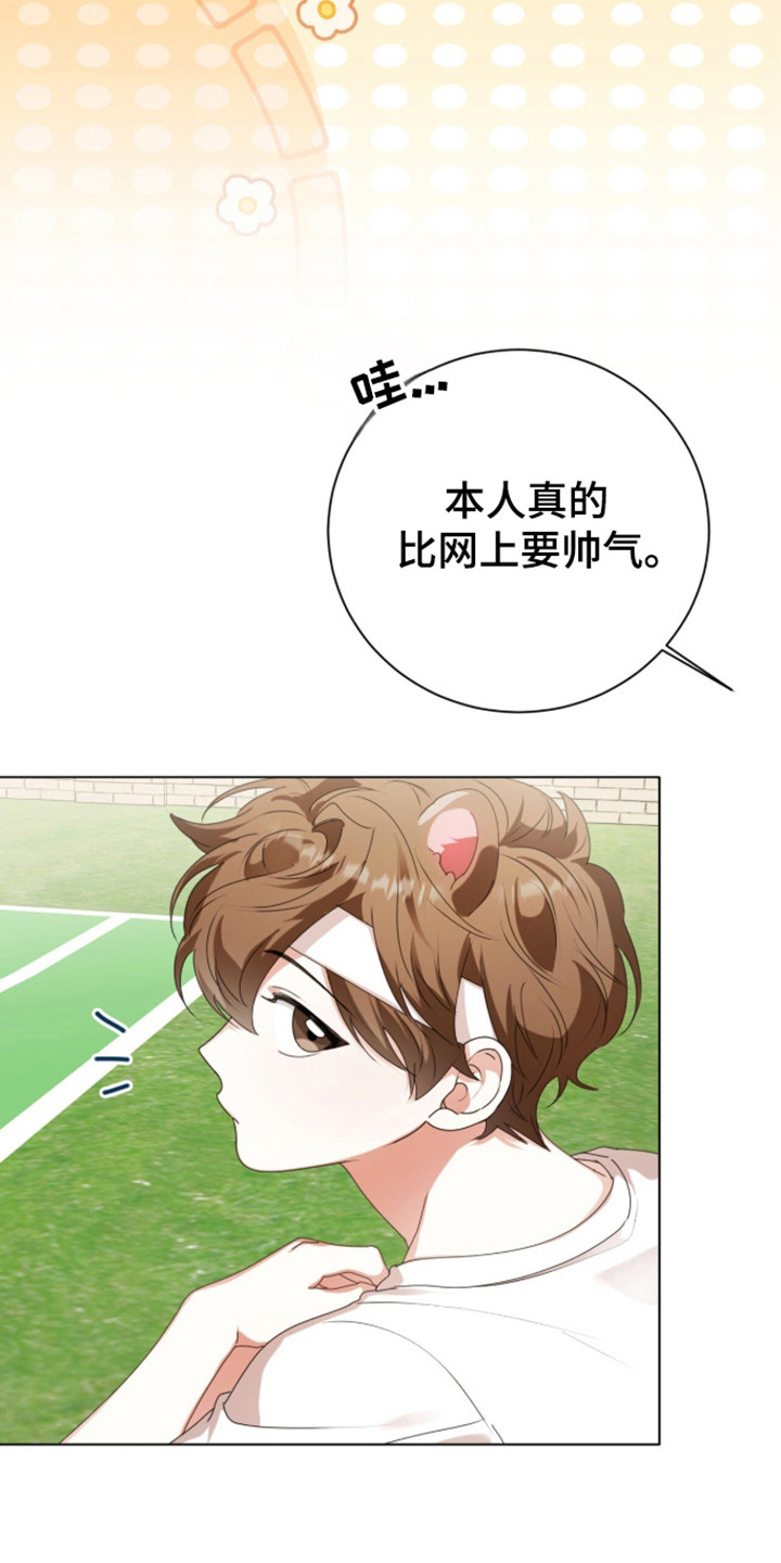 猛兽勿近剧情介绍漫画,第60章：眼光跟随4图