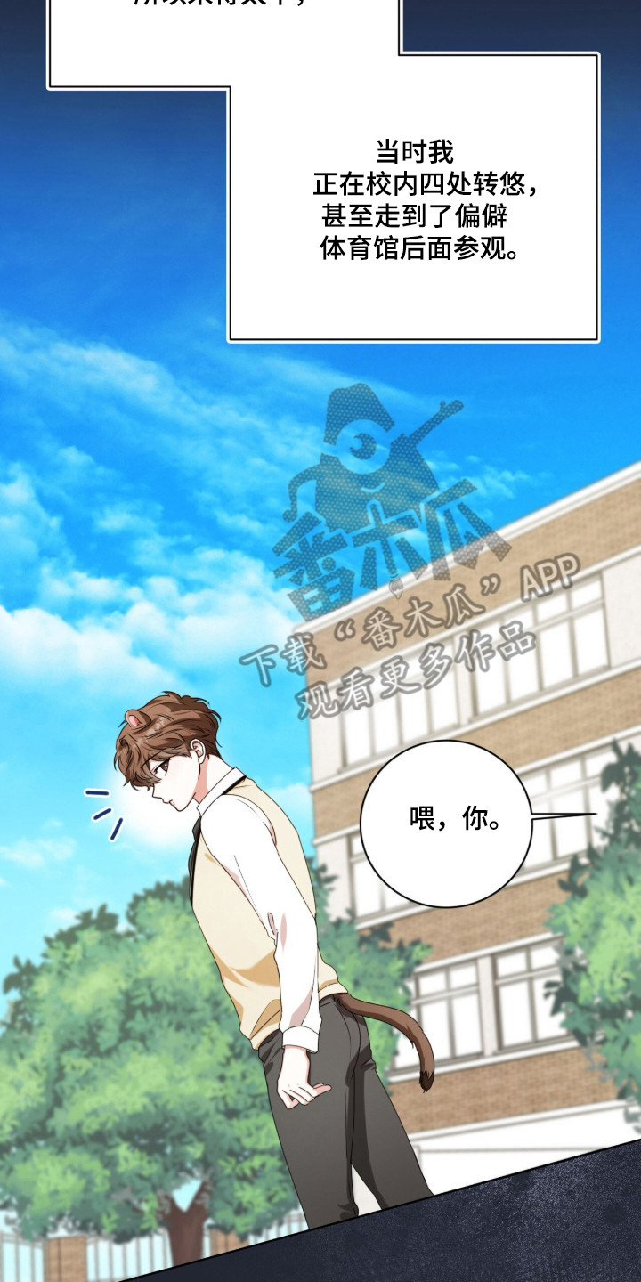 猛兽勿近允泰剧情漫画,第54章：跟踪狂2图
