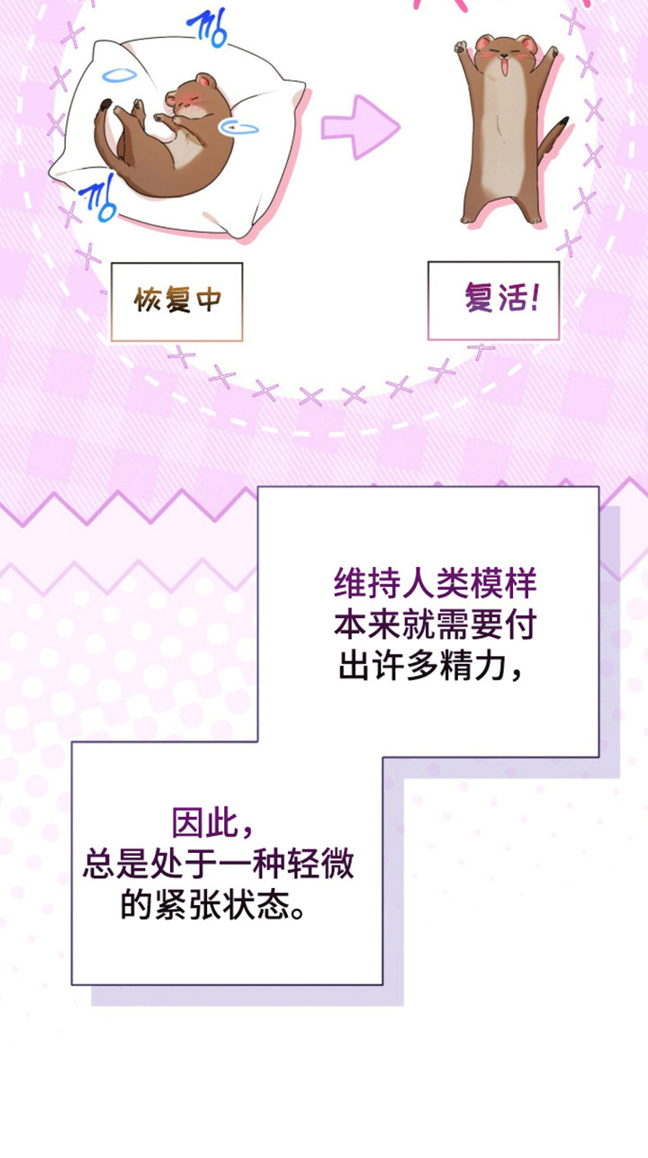 猛兽勿近剧情介绍漫画,第61章：金牌之战3图