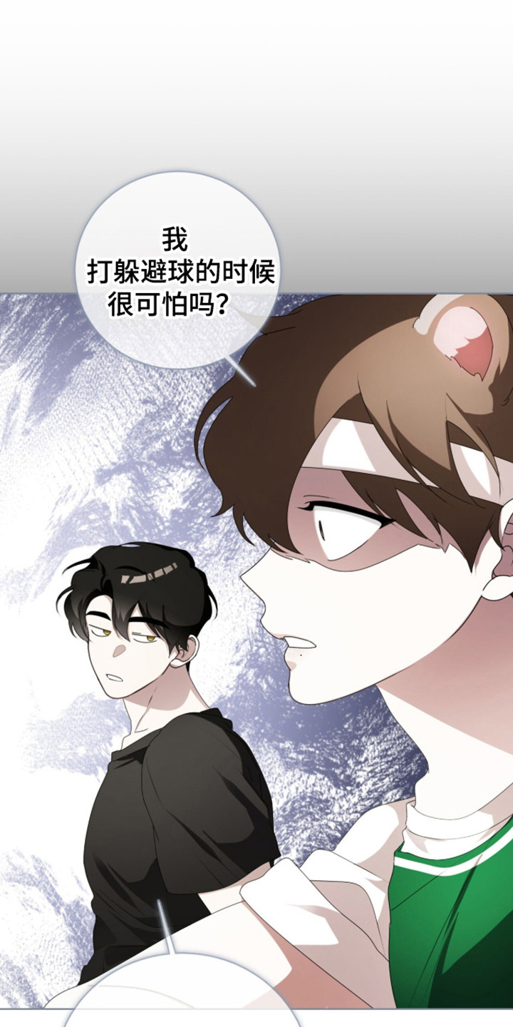 猛兽勿近小说正版漫画,第59章：越发关注2图