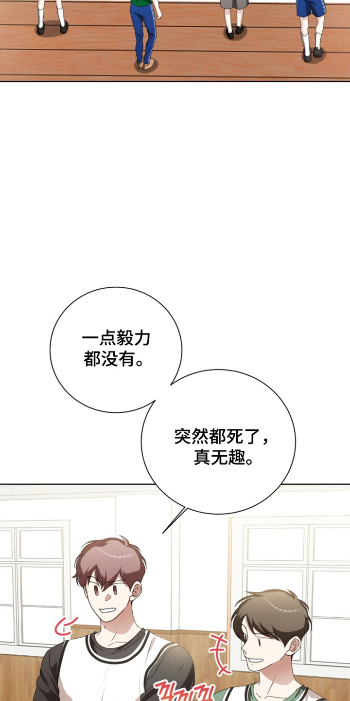 猛兽勿近小说讲的是什么故事漫画,第62章：正面对抗2图