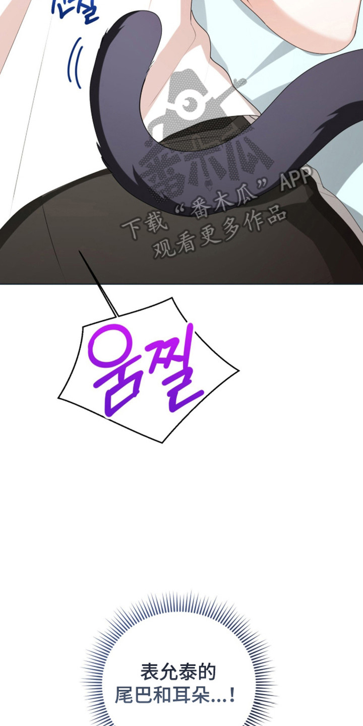 猛兽勿近剧情介绍漫画,第61章：金牌之战5图