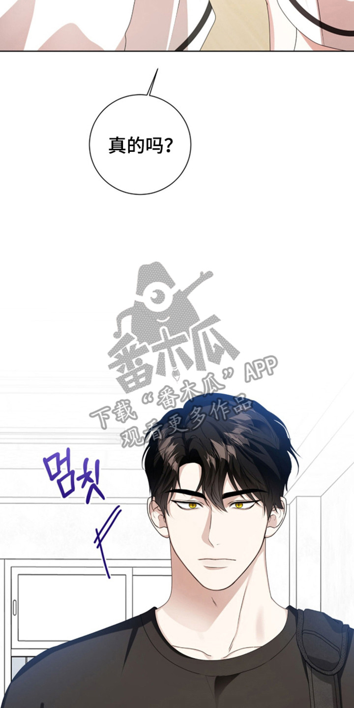 猛兽勿近剧情介绍漫画,第57章：幻想以后5图