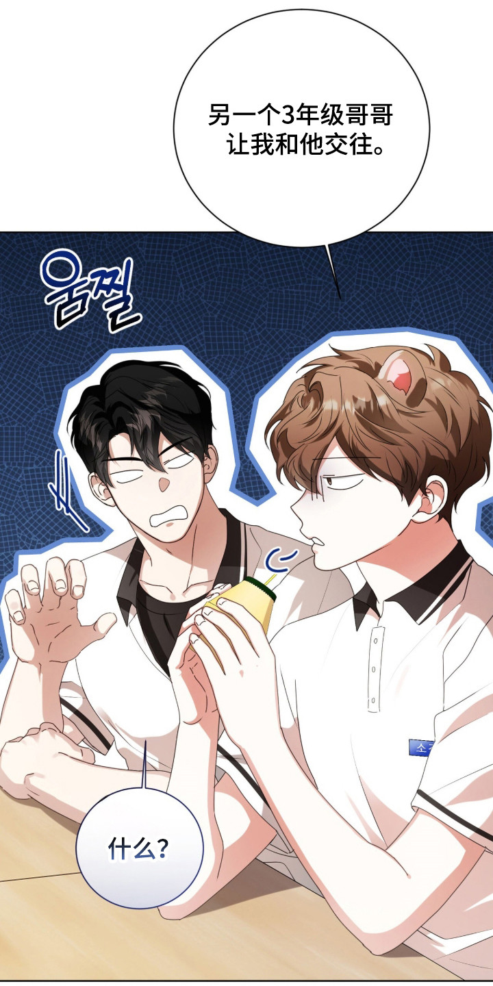 猛兽勿近漫画,第55章：每天见面1图