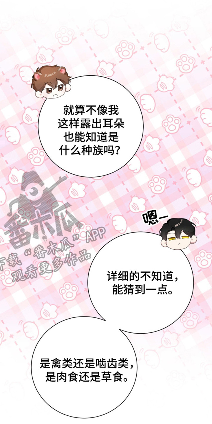 猛兽勿近小说讲的是什么故事漫画,第62章：正面对抗2图