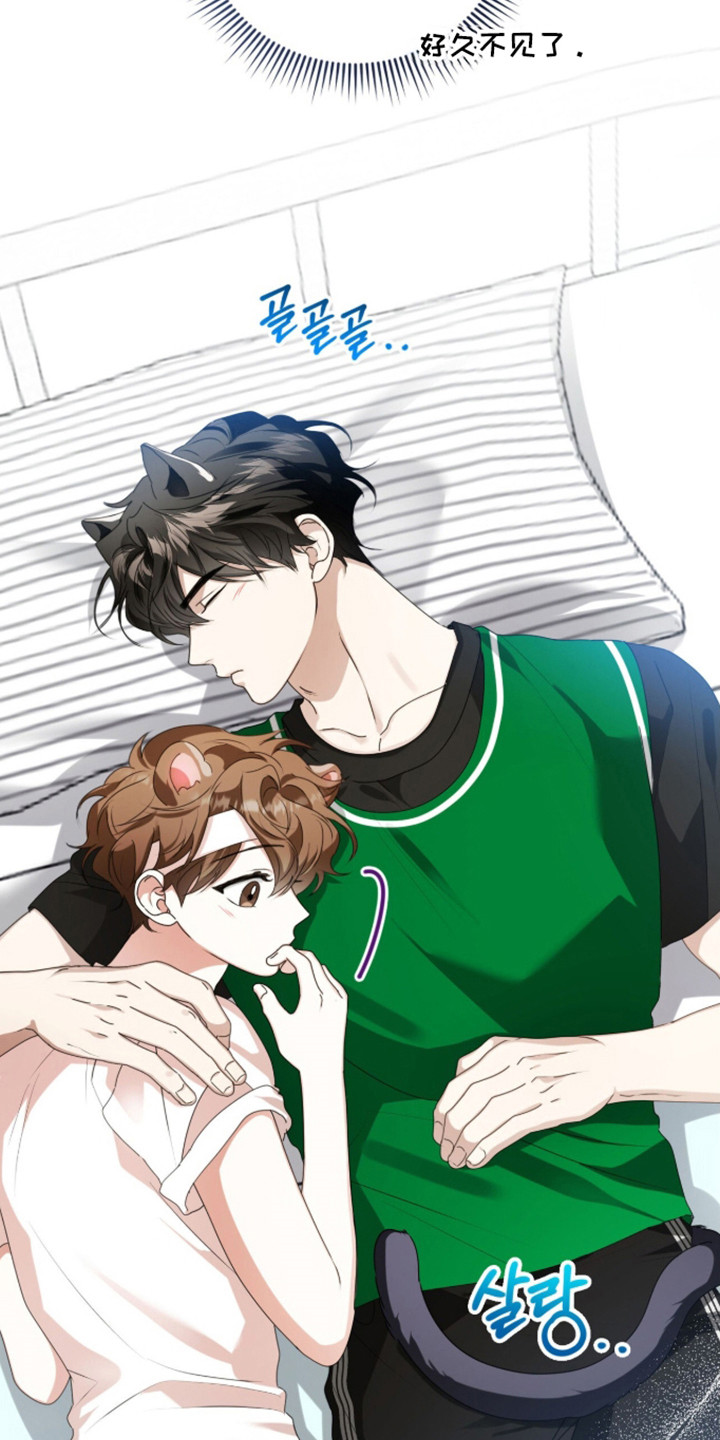 猛兽勿近剧情介绍漫画,第61章：金牌之战1图