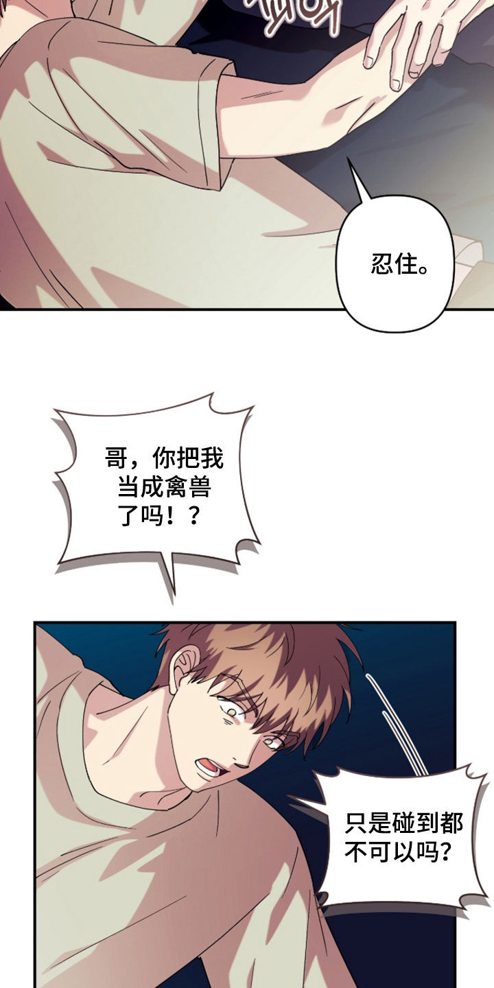 第44章：默契挑战1