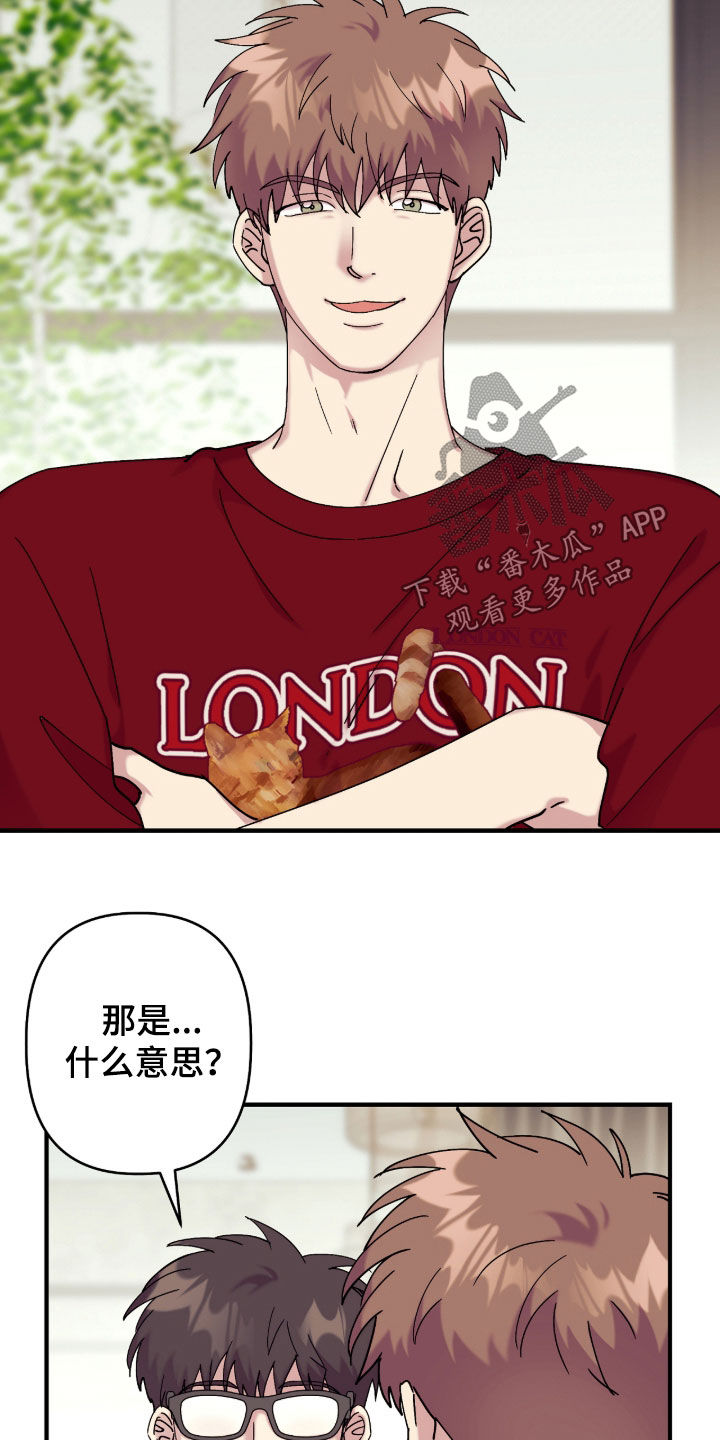 视线成敌漫画,第41章：有什么奇怪的5图