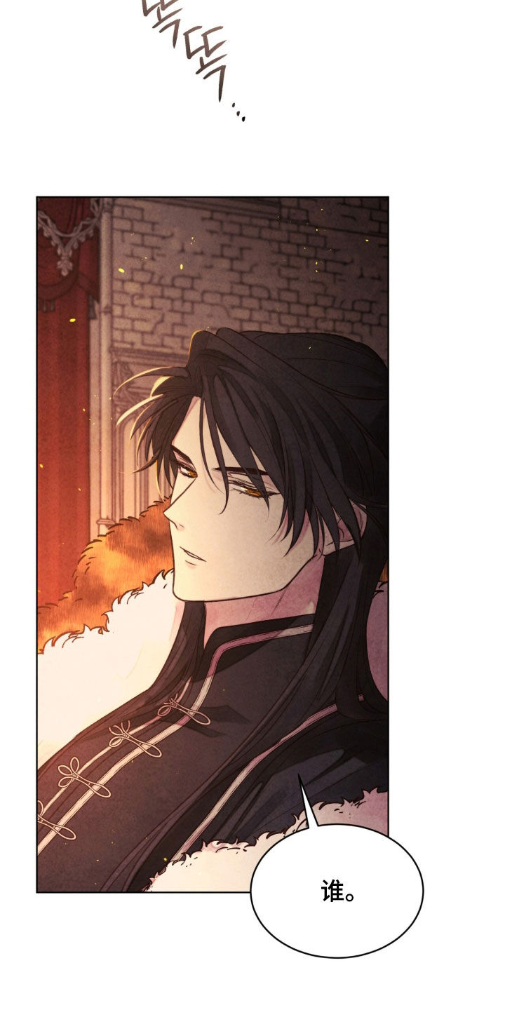 冰封的王嫁漫画,第39章：毫无睡意3图