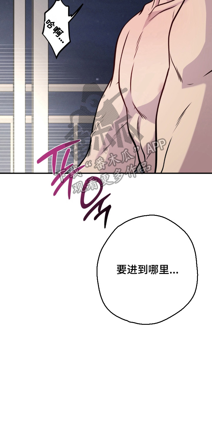 第37章：就是现在2
