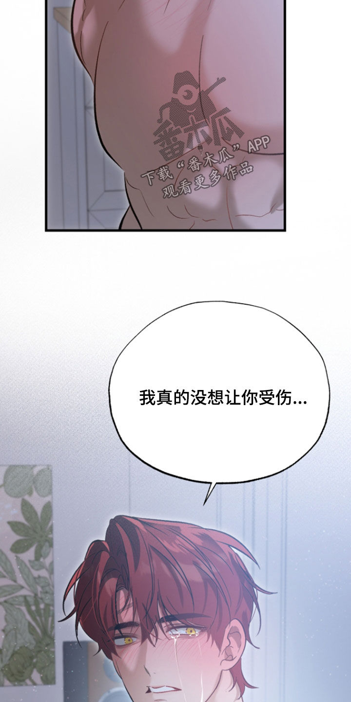 逆轨交织漫画,第45章：没想让你受伤1图