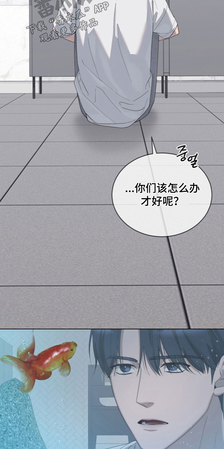 无色的恋人漫画,第55章：打包行李5图