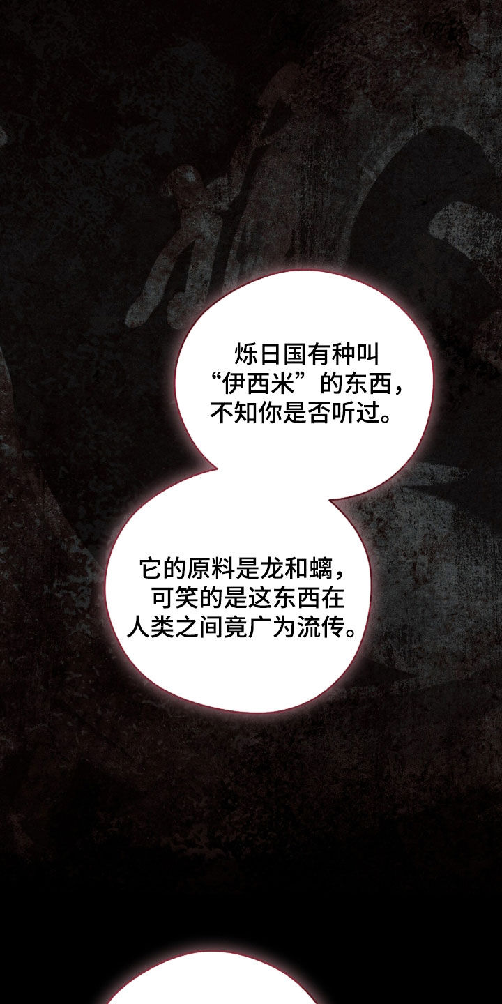最后的龙雨漫画,第40章：封印之地4图