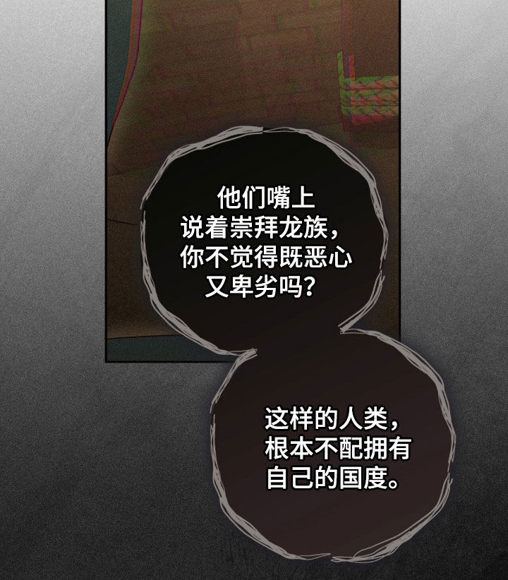 最后的龙雨漫画,第40章：封印之地1图