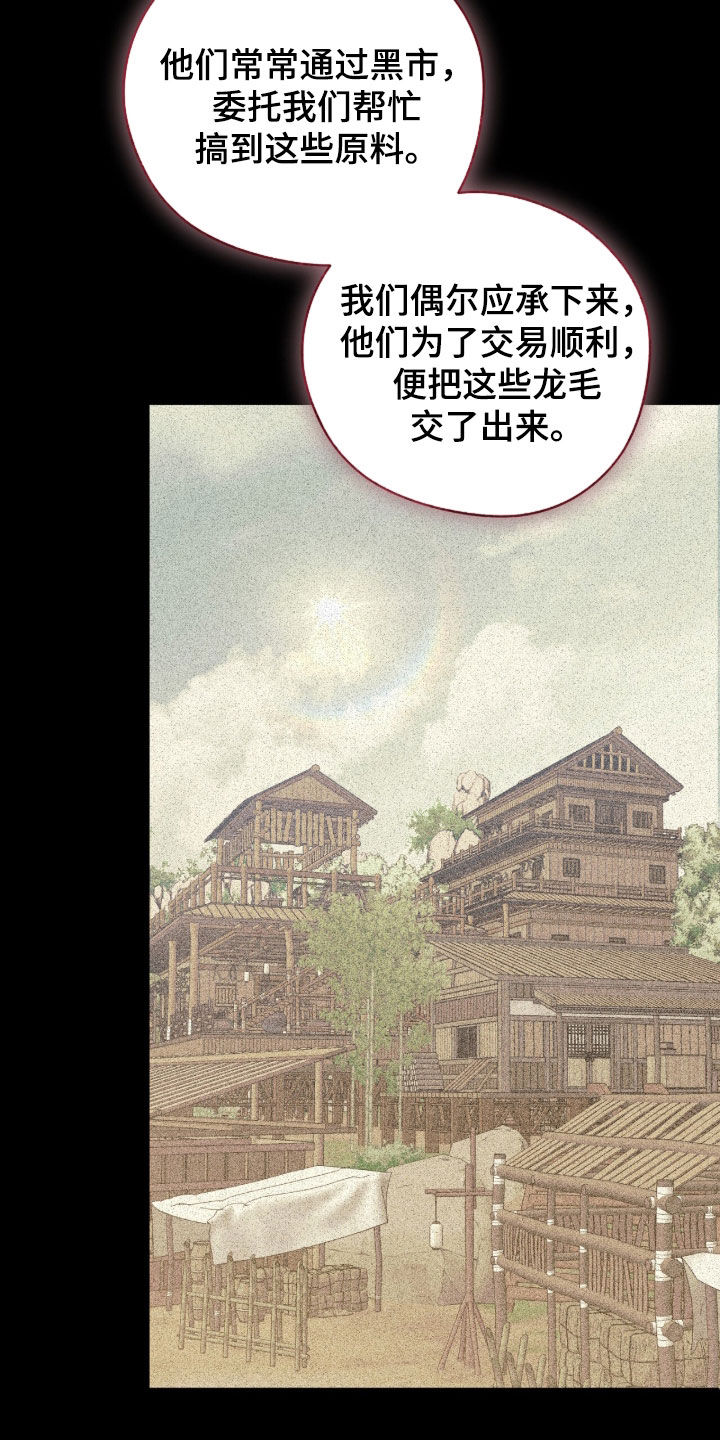 最后的龙雨漫画,第40章：封印之地5图
