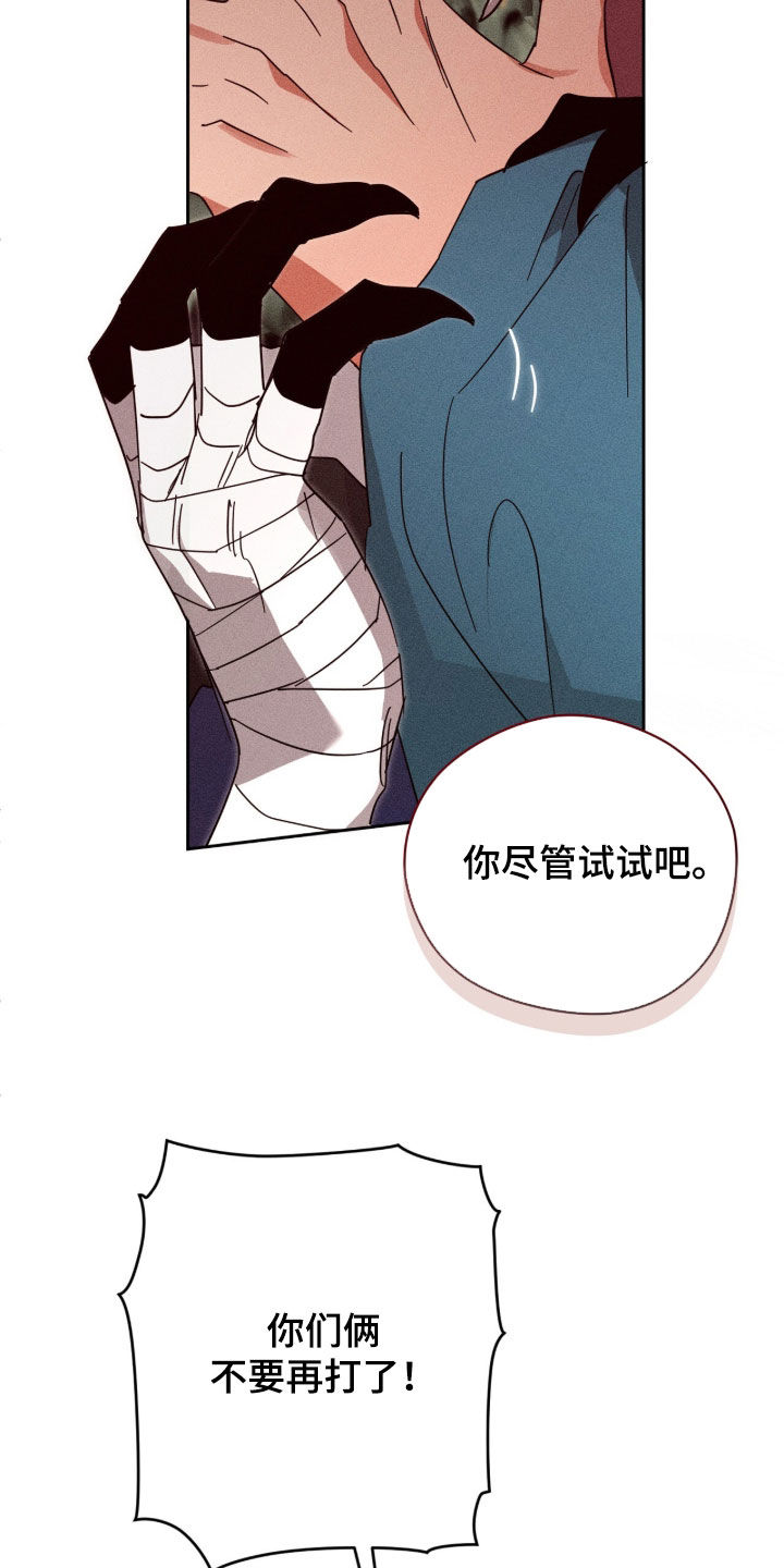 最后的龙雨漫画,第39章：不要再打了3图