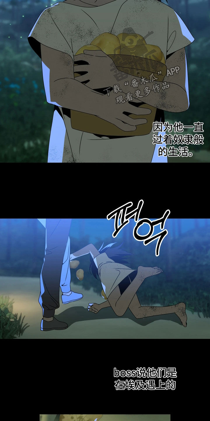 底牌与谎言漫画,第33章：闭嘴2图