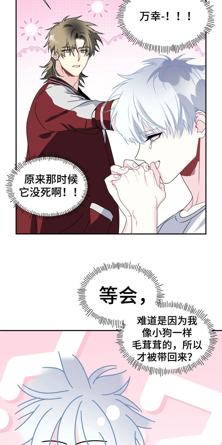底牌与谎言漫画,第34章：无法两全其美4图