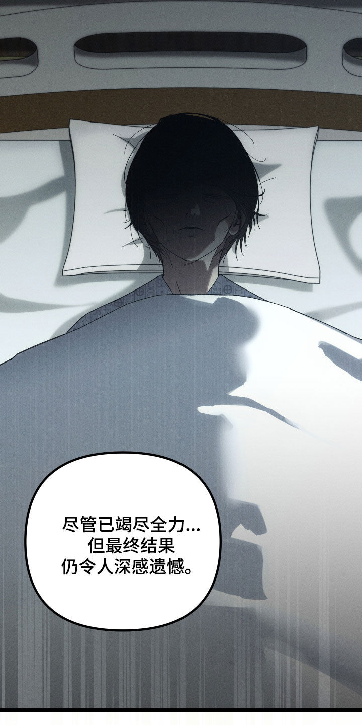 窥秘者漫画,第30章：葬礼3图
