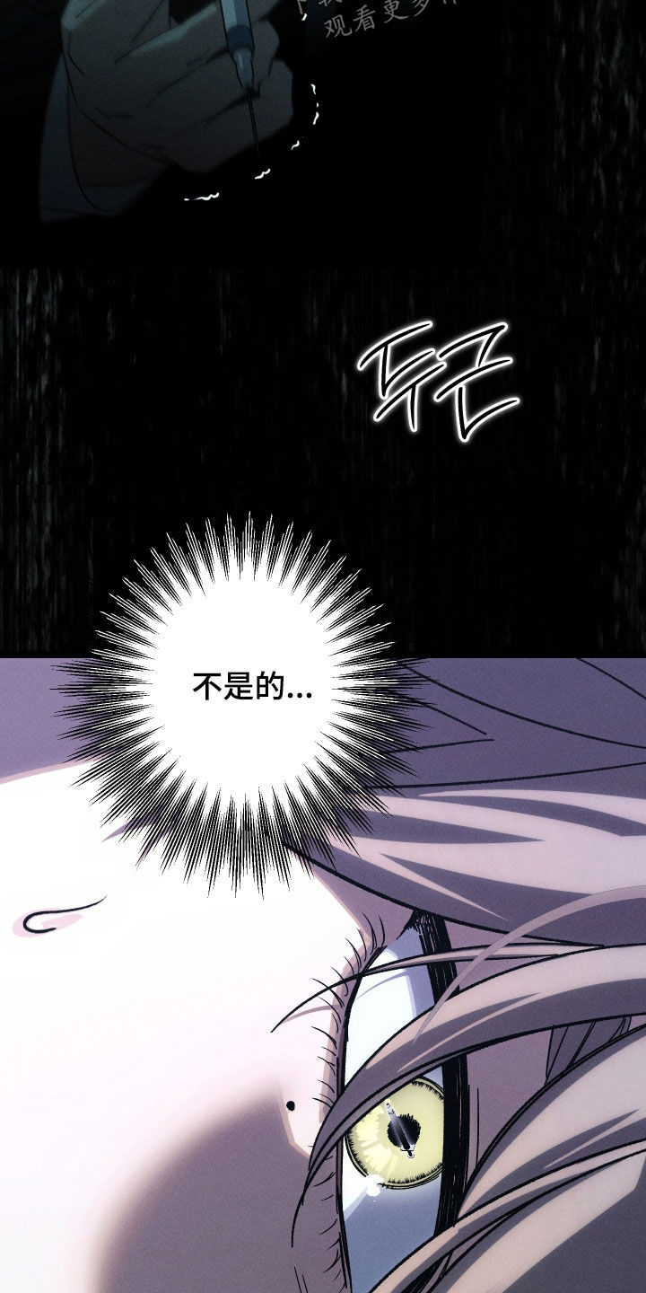 窥秘者漫画,第34章：你这个杀人犯3图