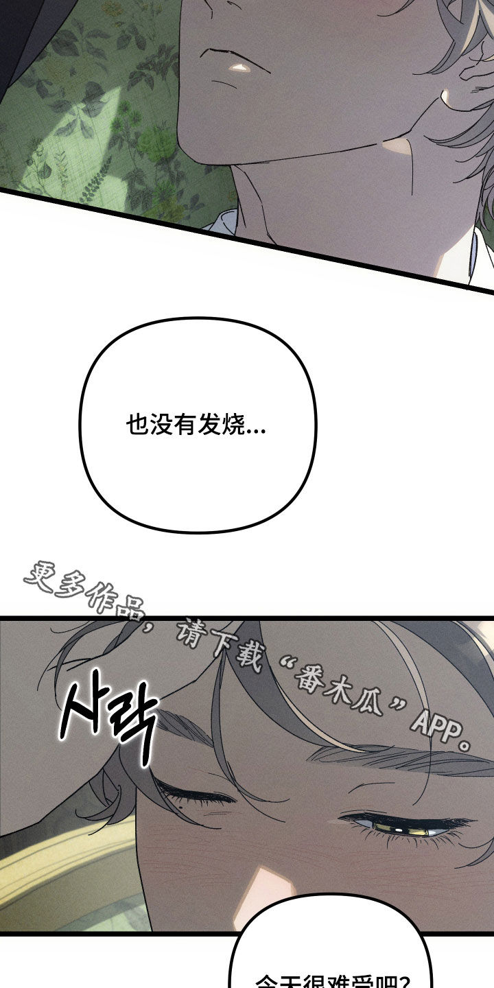 窥秘者漫画,第30章：葬礼3图