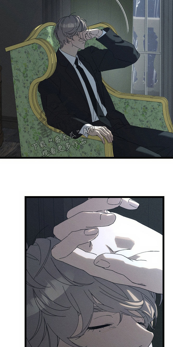 窥秘者漫画,第30章：葬礼2图