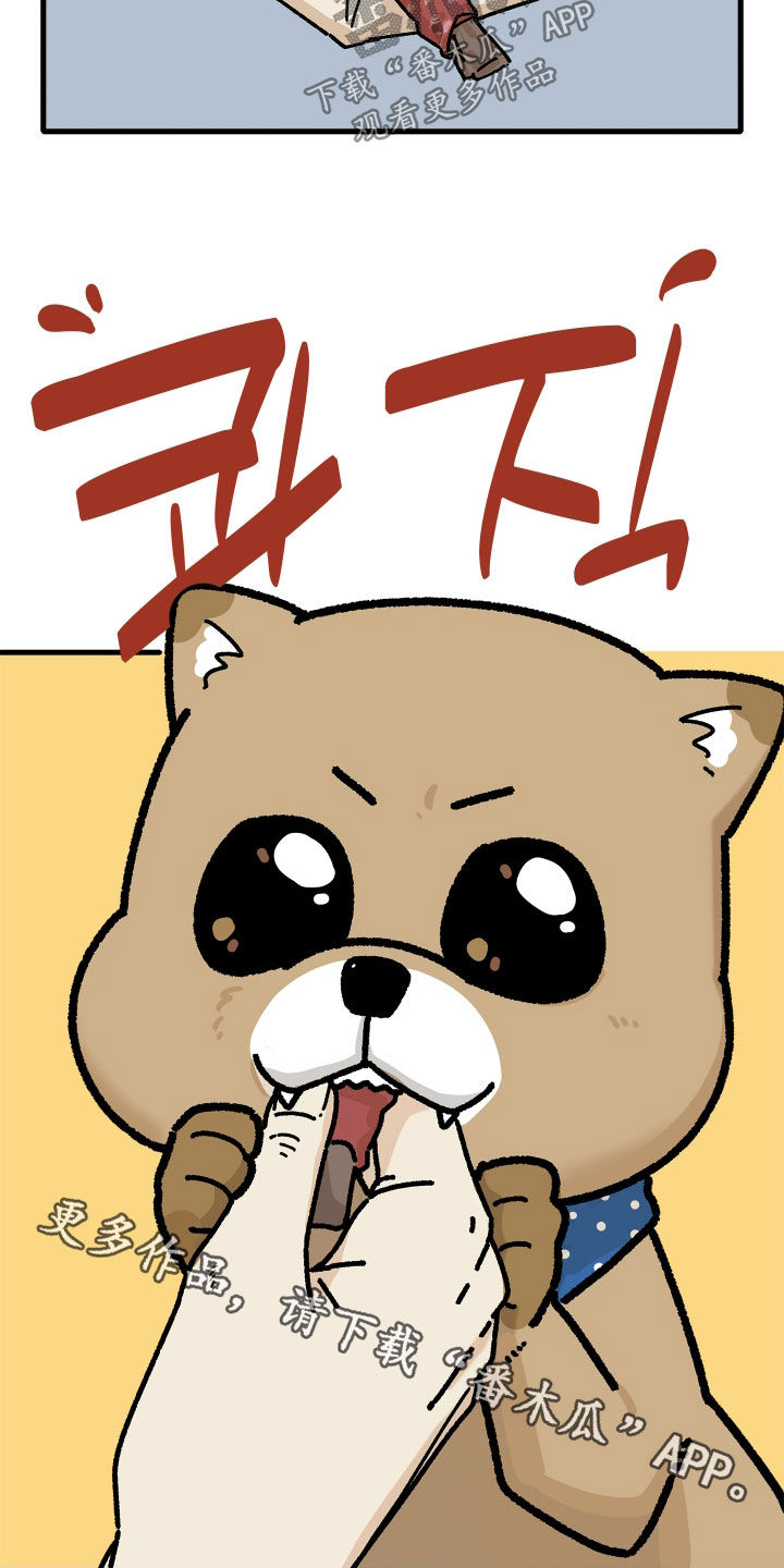前世的恋爱债漫画,第31章：想见那个人5图