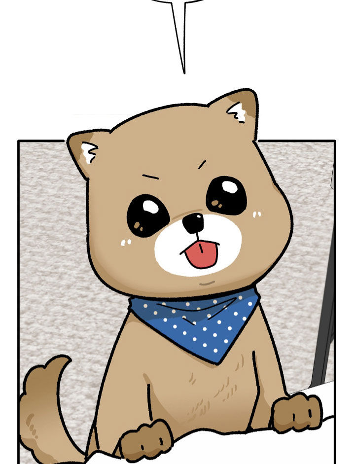 前世的恋爱债漫画,第31章：想见那个人1图