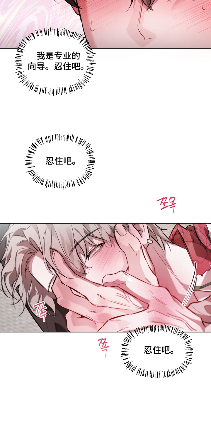 洁癖向导与变态哨兵漫画,第28章：直接动手4图