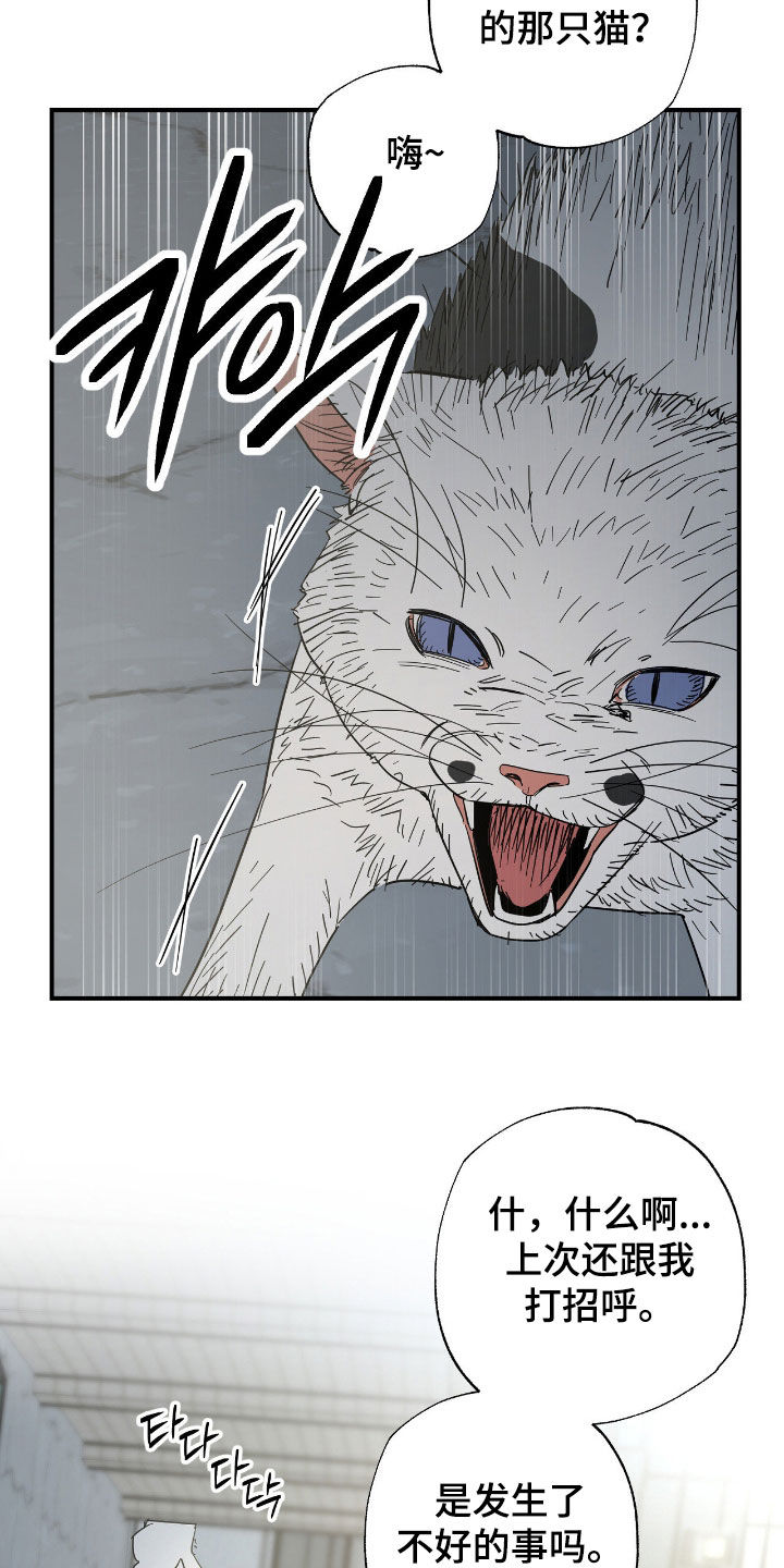 猫大爷和我漫画,第29章：不要耍前辈玩3图