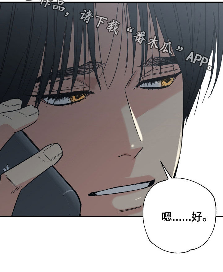 猫大爷和我漫画,第30章：无所谓了2图