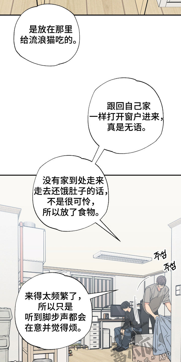 猫大爷和我漫画,第27章：你有时间吧1图