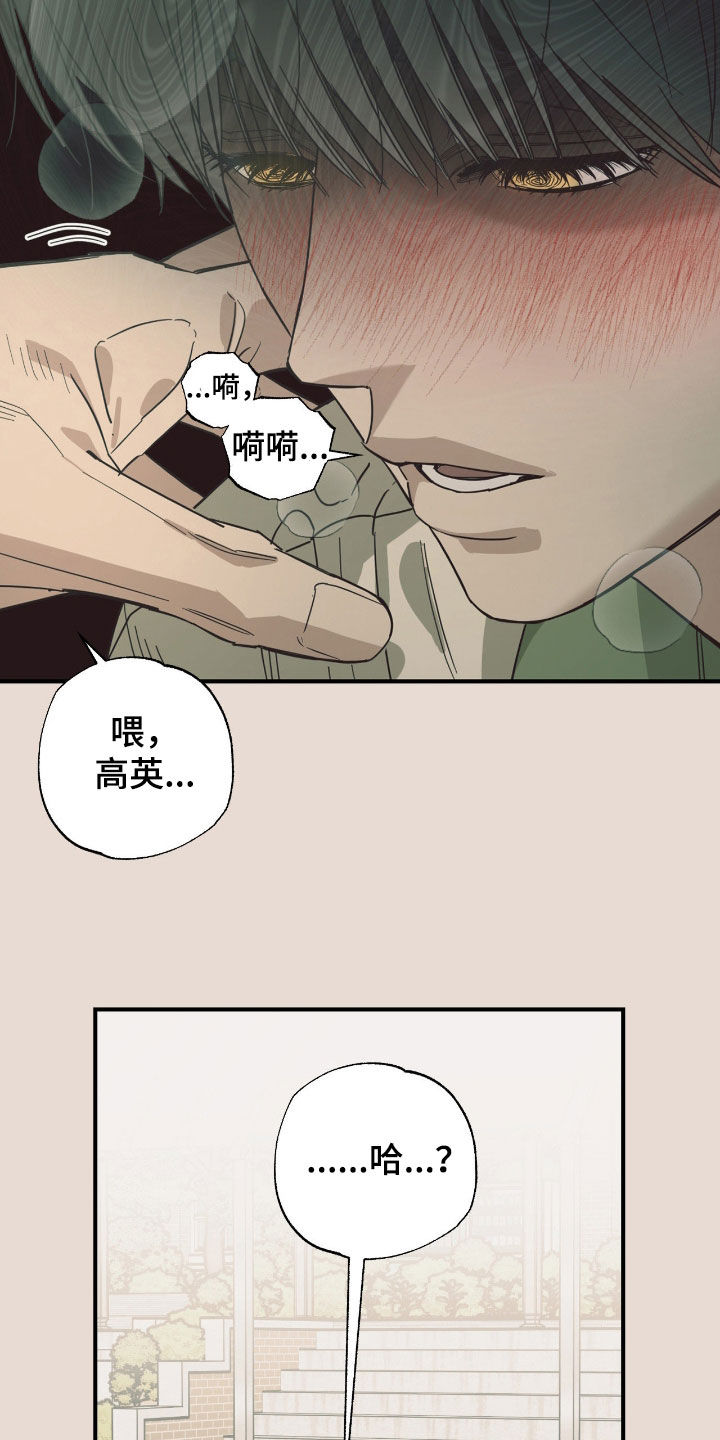 猫大爷和我漫画,第28章：不用勉强1图