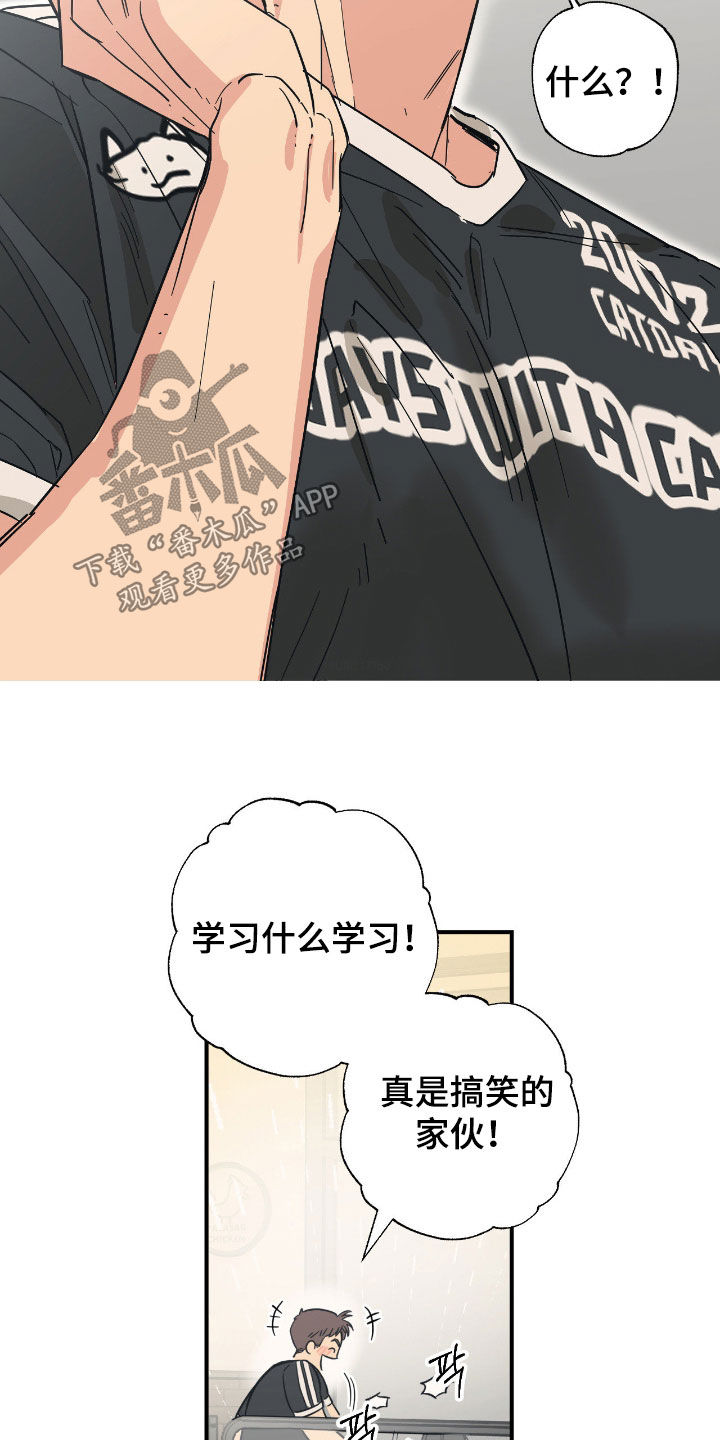 猫大爷和我漫画,第29章：不要耍前辈玩2图