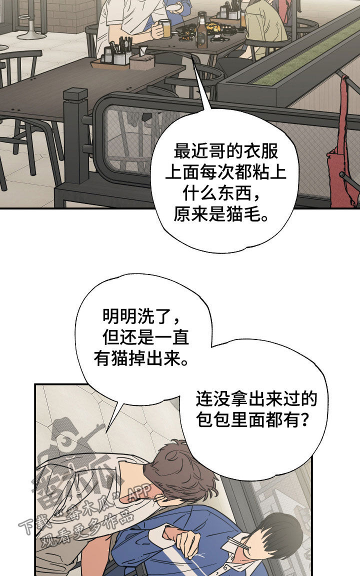 猫大爷和我漫画,第26章：第一次听说2图