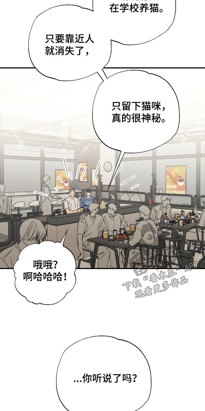 猫大爷和我漫画,第26章：第一次听说4图