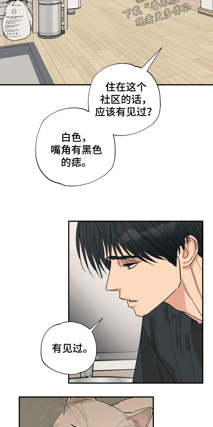 猫大爷和我漫画,第27章：你有时间吧2图