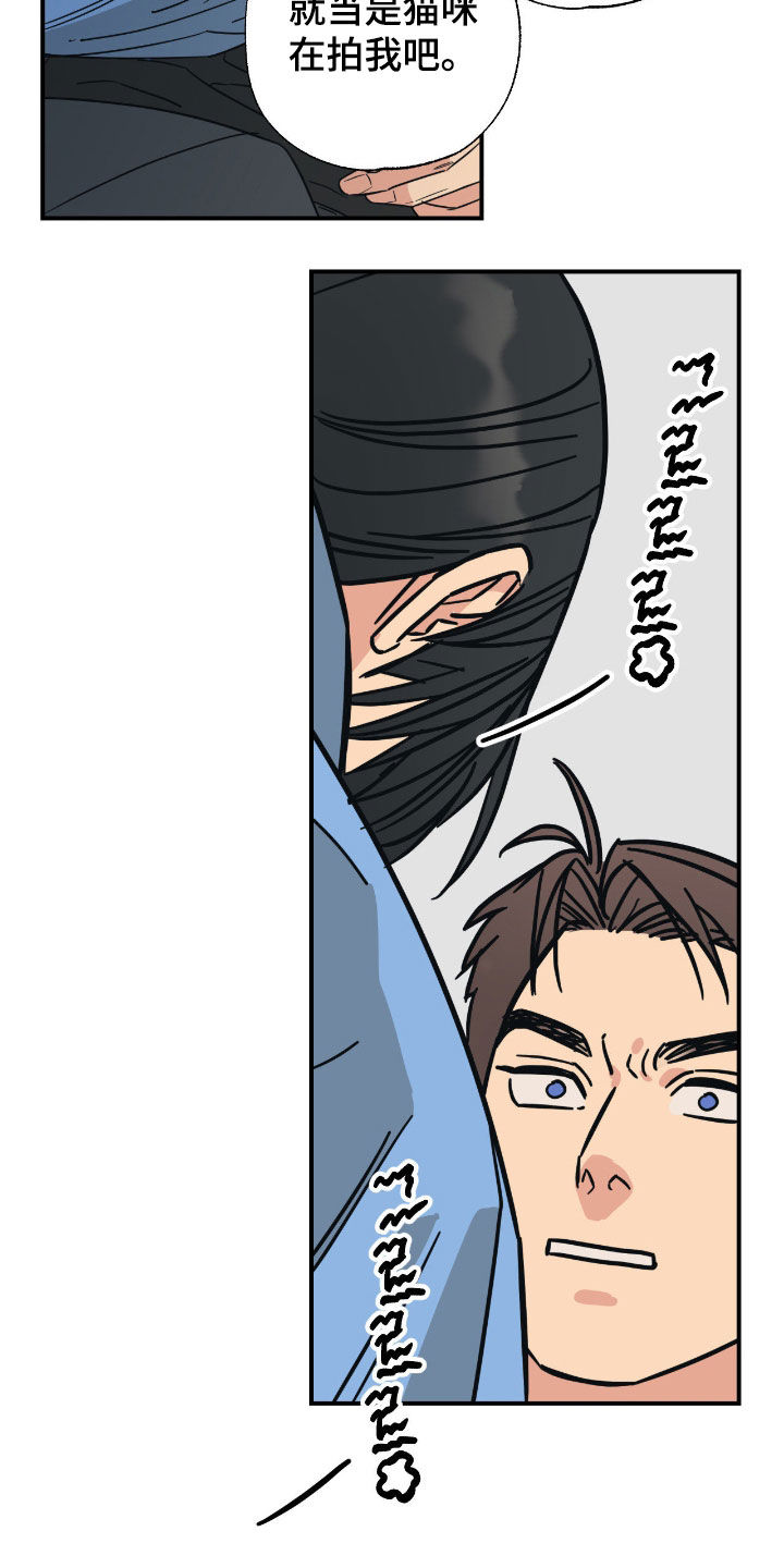 猫大爷和我漫画,第30章：无所谓了5图