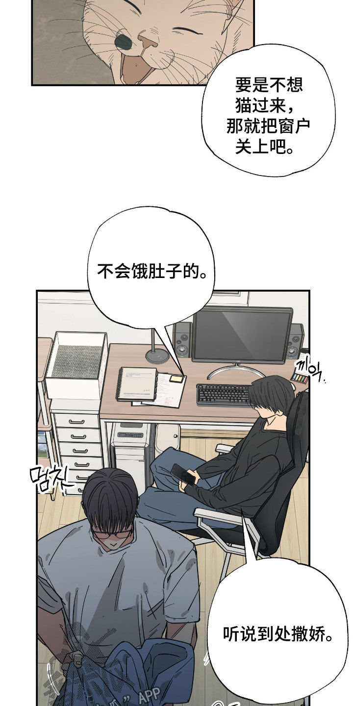 猫大爷和我漫画,第27章：你有时间吧3图