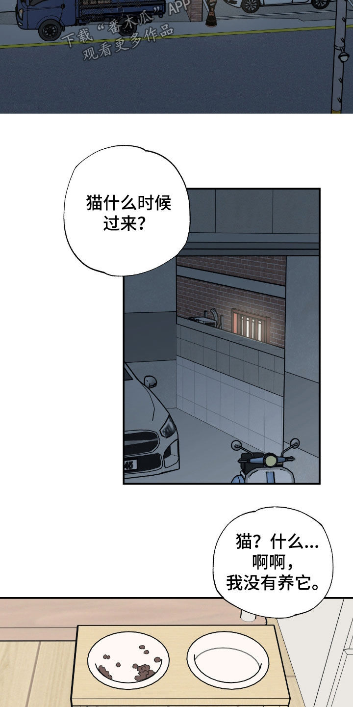 猫大爷和我漫画,第27章：你有时间吧5图