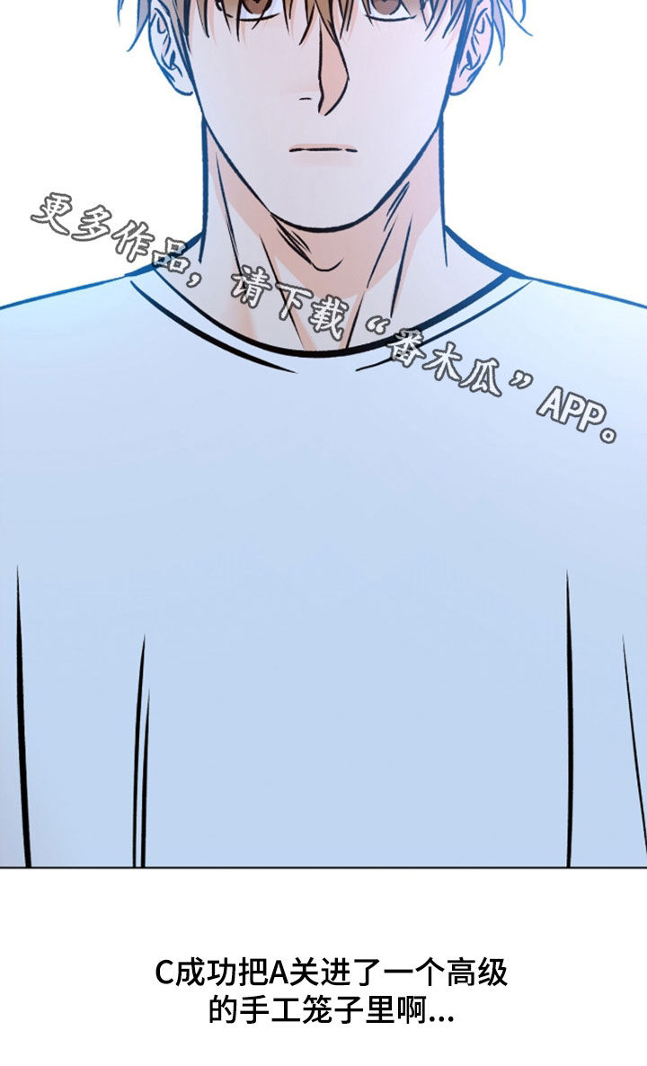 心动伪装漫画,第31章：手工笼子3图
