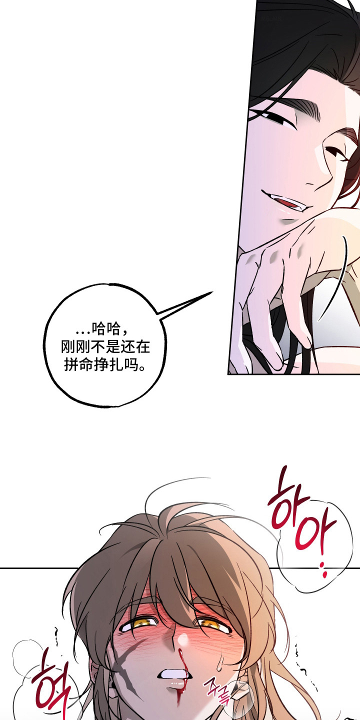 县令的私藏漫画,第4章：值得一看1图