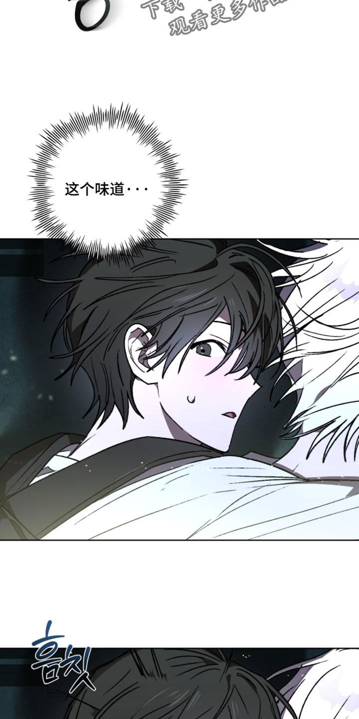 深渊牧羊人漫画,第30章：开始安静1图