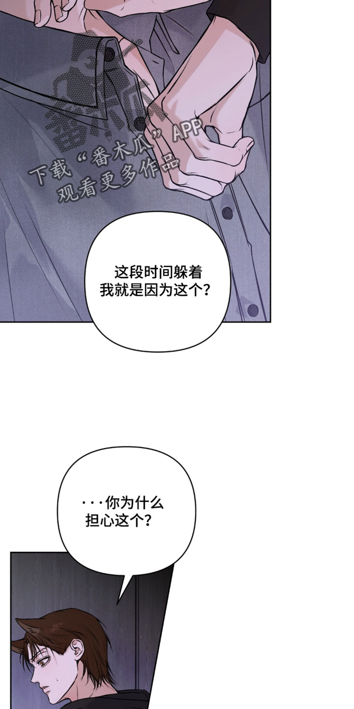 狐祸相依漫画,第17章：看着我4图