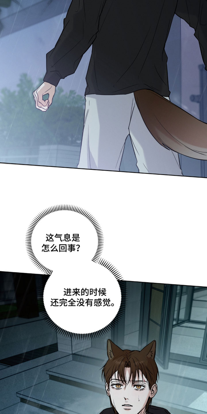 狐祸相依漫画,第16章：全都死了2图